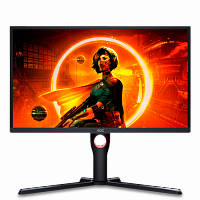 Монитор AOC 25'' 16:9 1920x1080 (FullHD), 240 Гц, VA, 3000 : 1, 300 Кд/м2, 178°/178°, DisplayPort 1.2, HDMI 2.0 x2, AMD FreeSync