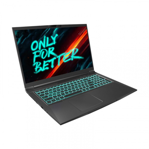 MAIBENBEN Ноутбук MAIBENBEN X668, 17.3" (2560x1440) IPS 165Гц/Intel Core i7-12700H/16ГБ DDR4/512ГБ SSD/GeForce RTX 3070 8ГБ/Linux, черный [X668QSFELBRE0] фото 2