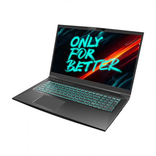 MAIBENBEN Ноутбук MAIBENBEN X668, 17.3" (2560x1440) IPS 165Гц/Intel Core i7-12700H/16ГБ DDR4/512ГБ SSD/GeForce RTX 3070 8ГБ/Linux, черный [X668QSFELBRE0] фото 3