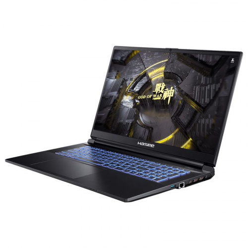 HASEE Ноутбук HASEE G8R9, 17.3" (2560x1440) IPS 165Гц/Intel Core i9-13900H/16ГБ DDR5/1ТБ SSD/GeForce RTX 4060 8ГБ/Без ОС, черный (G8R9) фото 3